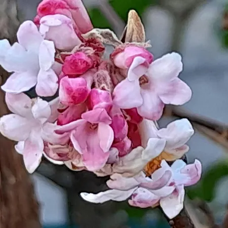 Wellness Oase Sterne Luxus Heidesonne Habitación en casa particular Jesteburg
