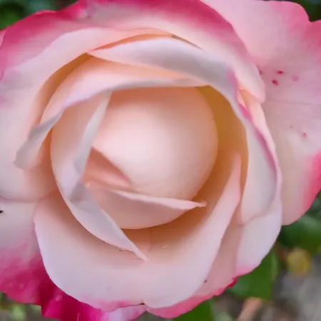 Wellness Oase Sterne Luxus Heidesonne Habitación en casa particular Jesteburg