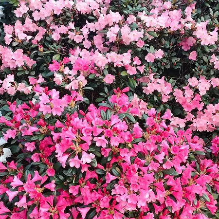 Wellness Oase Sterne Luxus Heidesonne *