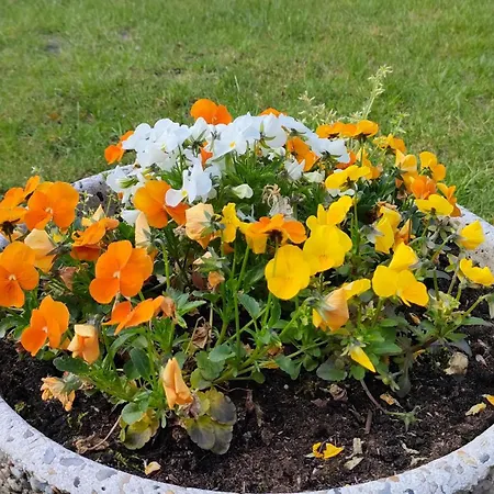 Habitación en casa particular Wellness Oase Sterne Luxus Heidesonne *