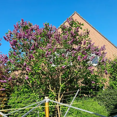 Wellness Oase Sterne Luxus Heidesonne Δωμάτια σε οικογενειακή κατοικία Jesteburg