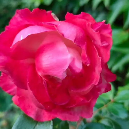 Sterne Luxus Heidesonne בית אירוח