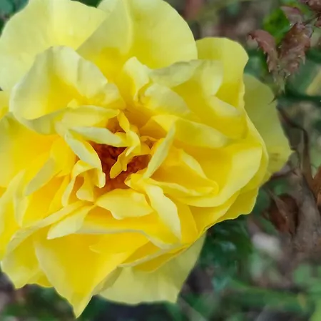 Wellness Oase Sterne Luxus Heidesonne Habitación en casa particular