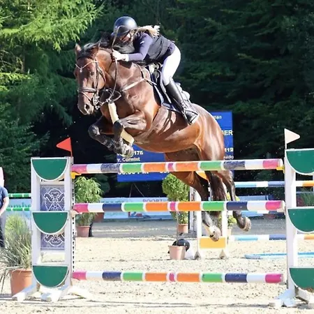 Wellness Oase Sterne Luxus Heidesonne Jesteburg