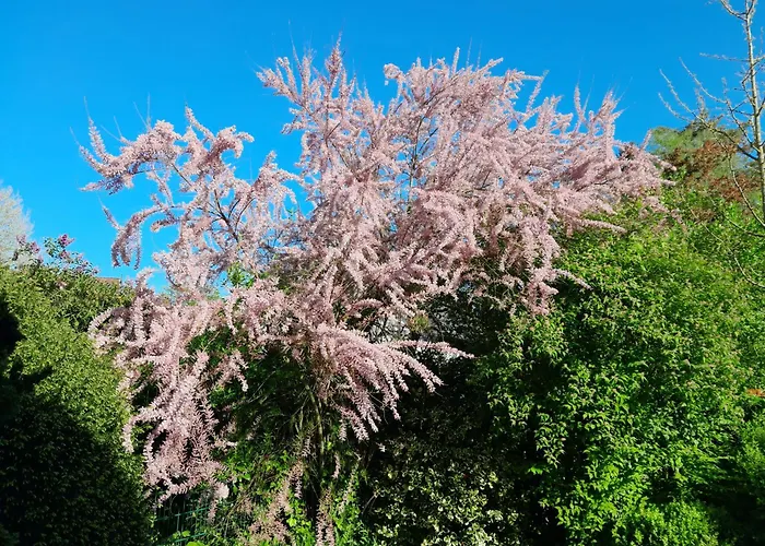 Rum i privatbostad Wellness Oase Sterne Luxus Heidesonne Jesteburg