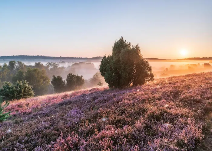 Wellness Oase Sterne Luxus Heidesonne Rum i privatbostad Jesteburg